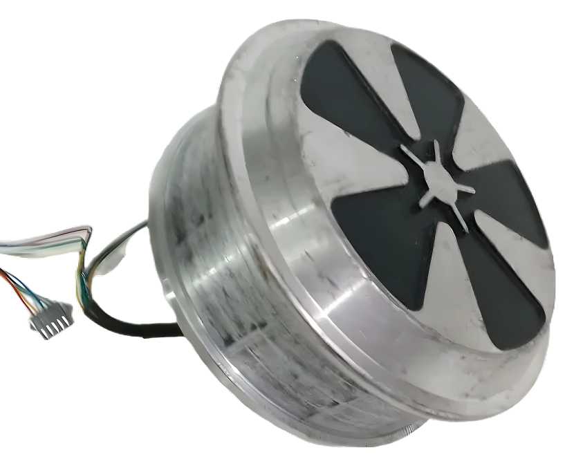 Roda Motor Hoverboard 6.5 36v 350w 12nm Imã 25mm - Sem Pneu
