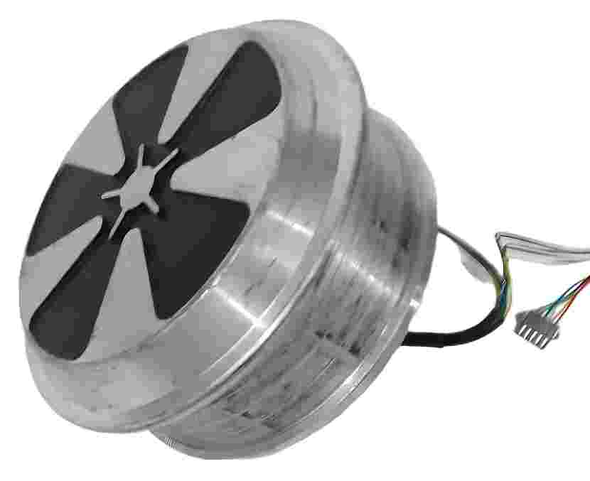 Motor Hoverboard 15nm 6.5 36v 350w Imã 30mm - Sem Pneu